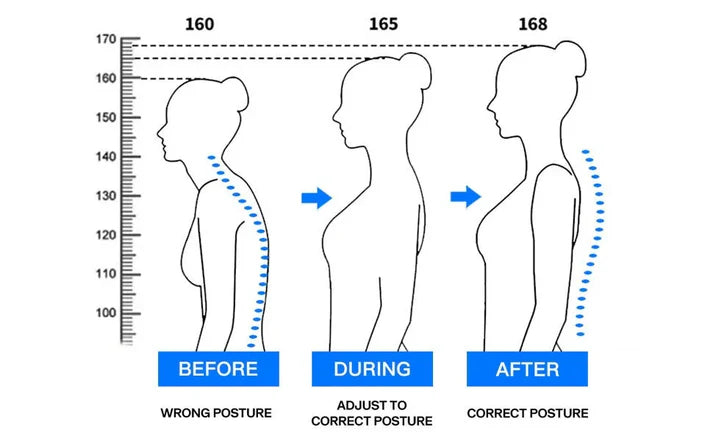 Unisex Posture Belt